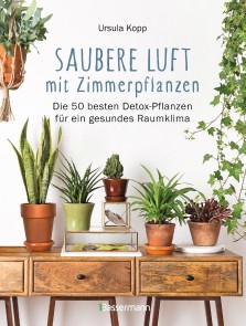 Saubere Luft mit Zimmerpflanzen