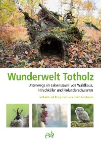 Wunderwelt Totholz