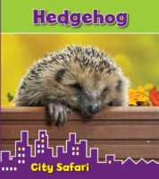 Hedgehog