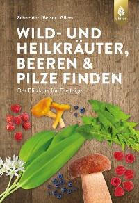 Wild- und Heilkräuter, Beeren und Pilze finden