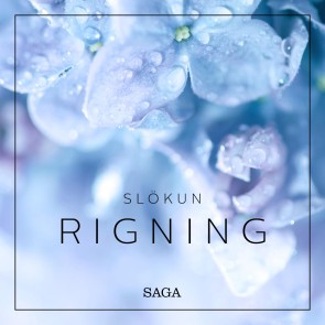 Slökun - Rigning