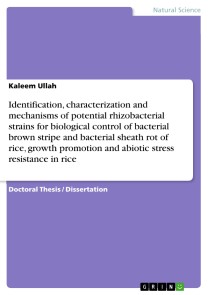 Identification, characterization and mechanisms of potential rhizobacterial strains for biological control of bacterial brown stripe and bacterial sheath rot of rice, growth promotion and abiotic stress resistance in rice