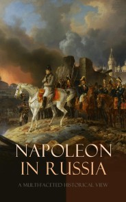 Napoleon in Russia: A Multi-Faceted Historical View