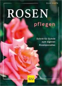 Rosen pflegen