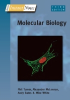 BIOS Instant Notes in Molecular Biology