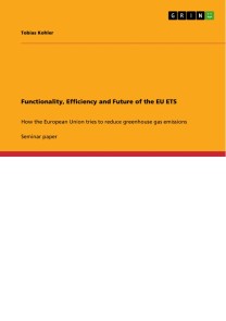 Functionality, Efficiency and Future of the EU ETS