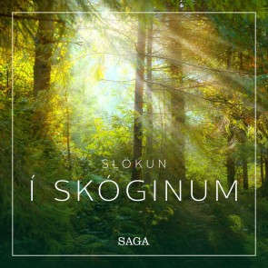 Slökun - Í skóginum