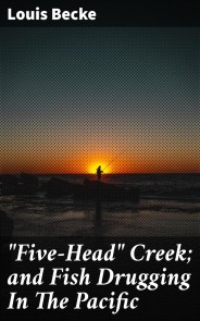 "Five-Head" Creek; and Fish Drugging In The Pacific