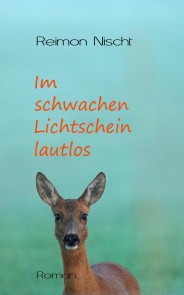 Im schwachen Lichtschein lautlos