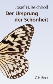 Der Ursprung der Schönheit