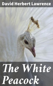 The White Peacock