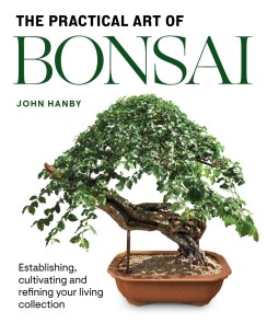 Practical Art of Bonsai