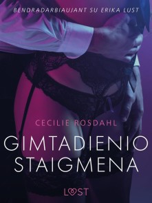 Gimtadienio staigmena - erotine literatura